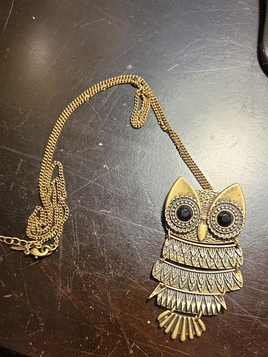 Jewelry - Gold Owl Pendant Necklace/Pin - Fashion Women Jewelry- Y2K!
